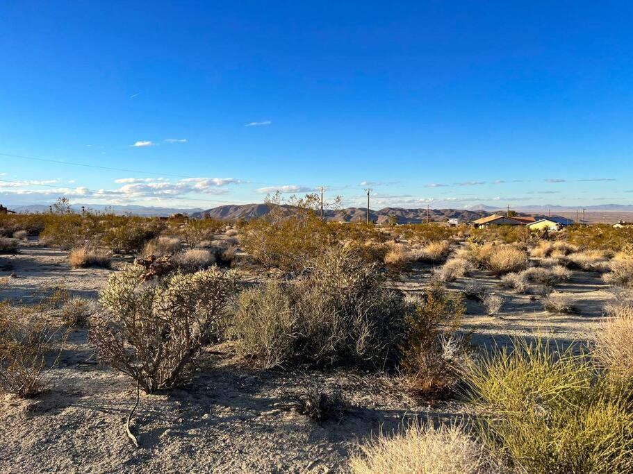 Joshua Tree National Park - Cozy Palms Getaway Apartment Twentynine Palms Ngoại thất bức ảnh