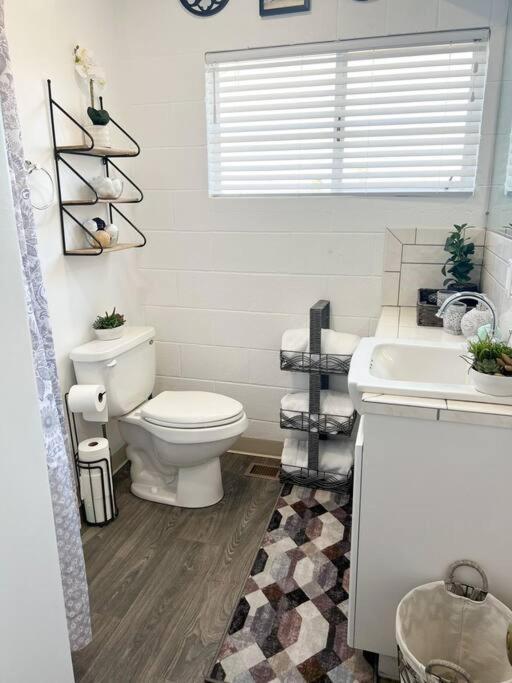Joshua Tree National Park - Cozy Palms Getaway Apartment Twentynine Palms Ngoại thất bức ảnh